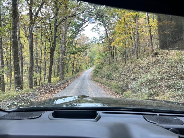 A winding road through the woods.