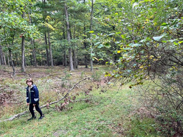 A pause on the woodland walk.