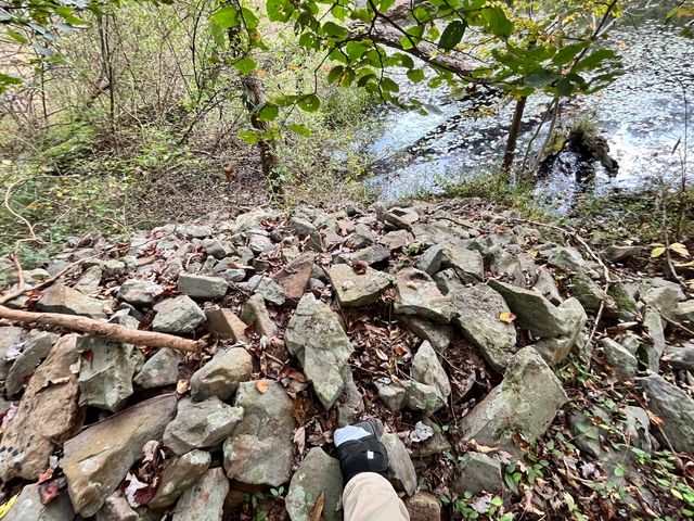 Rocks and fallen branches beside the water.