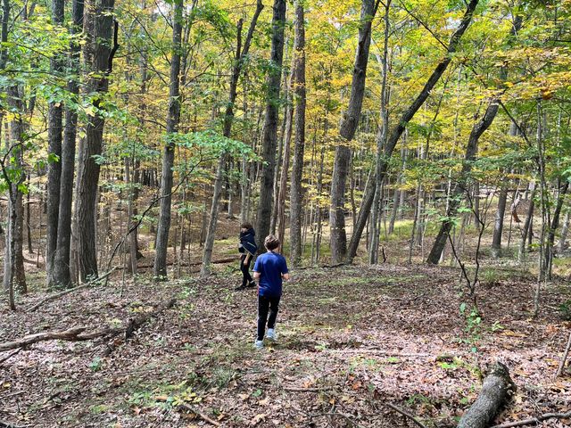 Exploring a leaf-covered path through the woods.